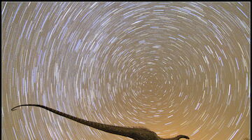 Tierras Altas de Soria declarada Destino Turístico Starlight 