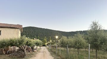 La Trufa Madre, nueva Casa Rural Starlight en la Serranía de Cuenca