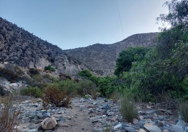 ruta del peregrino andacollo chile