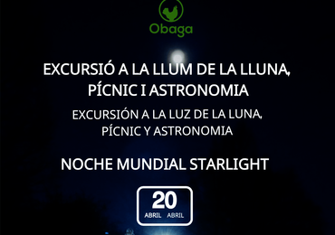 noche mundial starlight 2024