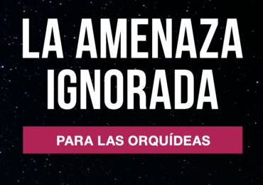 Folletos Contaminación Lumínica y Biodiversidad y Salud Humana