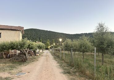 La Trufa Madre, nueva Casa Rural Starlight en la Serranía de Cuenca