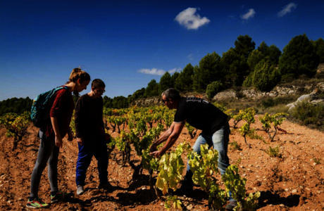 LoRefugi Tarragona  2022