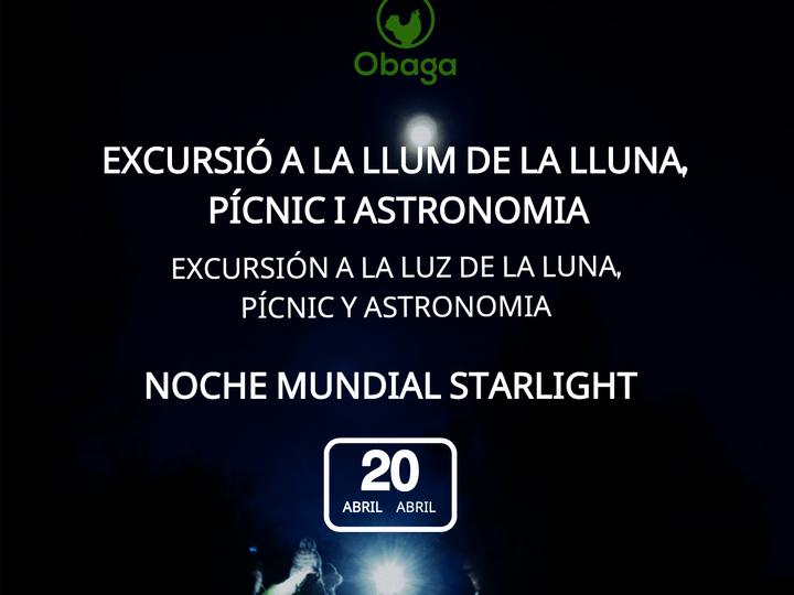 noche mundial starlight 2024