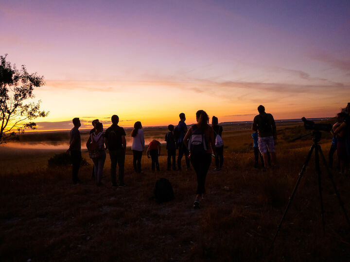 Buteo Iniciativas Ambientales