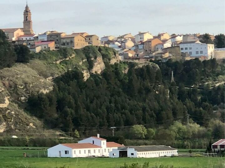 Entheos, el Alojamiento Starlight que se entiende con la Tierra