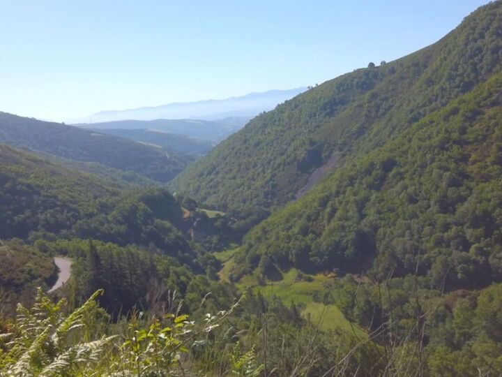 Allande concejo starlight