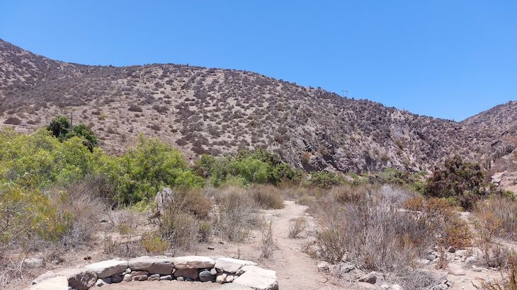 ruta del peregrino andacollo chile
