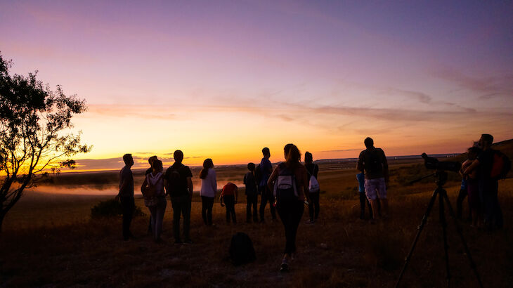 Buteo Iniciativas Ambientales