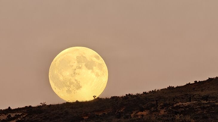 Naturaleza estrellas y sostenibilidad WorkNature obtiene la acreditacin como Empresa Starlight