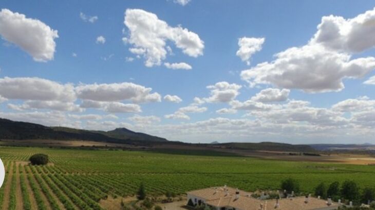 finca el romeral