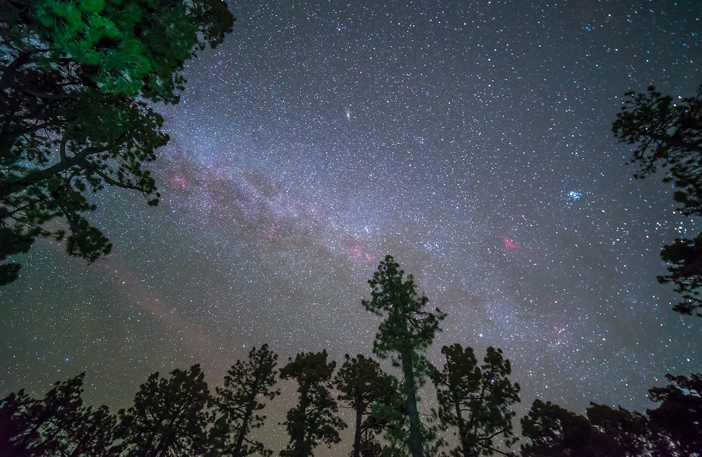 cielo la palma