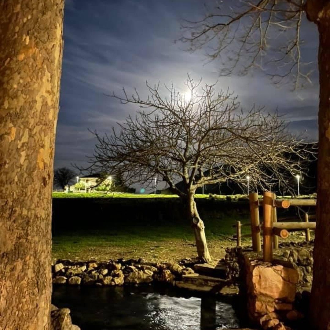 cuevas del becerro málaga