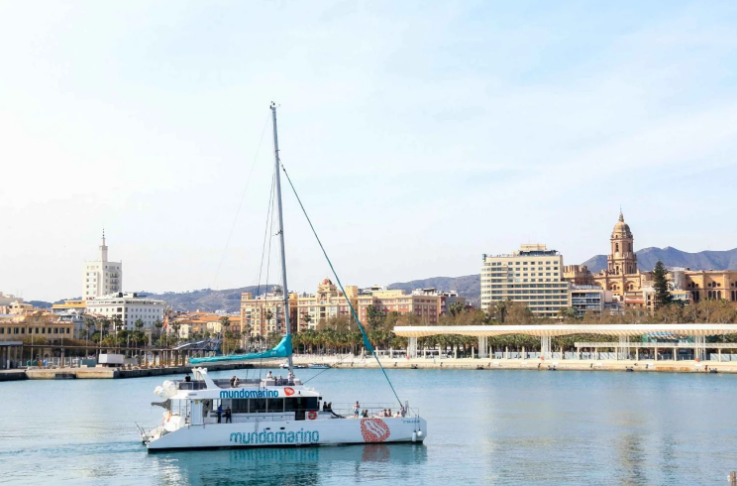 mundo marino catamarán