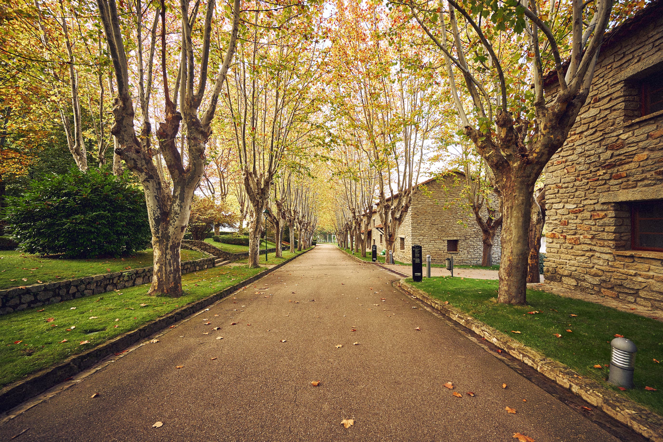 campus puente nuevo 